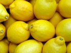 Закупаем лимоны оптом