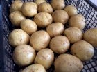 Реалізовуємо картоплю