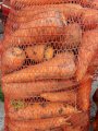 Продам моркву сорту Абако 