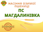 Пшениця посівна ПС Магдалинівка еліта 