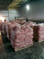 Продам чеснок сорт Дюшес