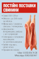 Постійні поставки свинини