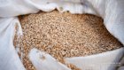 Продам пшеницю 3 клас, 500 тонн, Вінницька обл, Махнівка