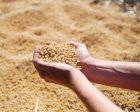Компанія здійснює закупівлю