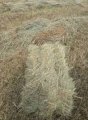 Сіно люцерна, різнотрав'я, лугове. Солома 