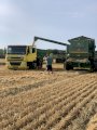 Продам пшеницю фуражну 