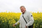Куплю Ріпак НЕ ГМО-від 200т.+