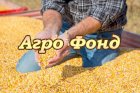 Компанія закуповує великі об’єми вологої кукурудзи (не кондиції)