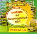 Акція! Посівмат соняшника Рекольд Екстра, урожай - 2024