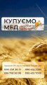 Оптова закупівля меду