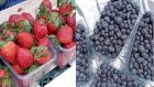 Продам свіжу полуницю та лохину.