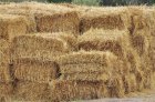 Продам солому Пшеничную в тюках. Укос 2022 года 450-600 тон