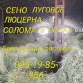 400 тонн. Сено люцерны, луговое, солома в тюках. Доставка бесплатная.