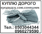 Закупаем сою, семечку, кукурузу. Дорого.