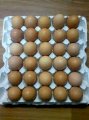 Продам яйцо куриное столовое оптом С-0, С-1,С-2.