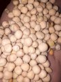 Продам