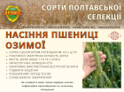Насіння Пшениця Озима (сорти Полтавської селекції)