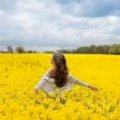 Куплю РІпак  Дорого! По всій Україні