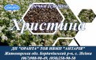 Насіння гречки Христина
