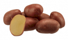 Посадочный картофель сорт Эволюшн. 2-я репродукция