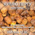 КУПЛЮ ПЕРГУ