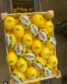 Продам лимони