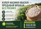 Насіння квасолі на продаж. Гарантія викупу врожаю