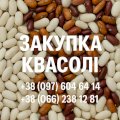 Закупівля квасолі оптовими партіями