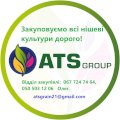 Цукор на експорт