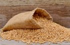 Продам пшеницю 3 клас, 500 тонн, Житомирська обл, Кочерів