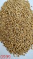 Продам спельту обрушену лущену  (лат. Triticum spelta, полба