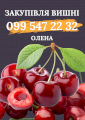 Куплю вишню, оптом, вся Україна