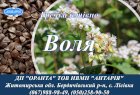 Насіння гречки Воля