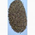 Продам розторопша плямиста (Silybum marianum). 