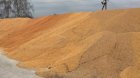 Закуповую некондиційні зернові та масляні культури 