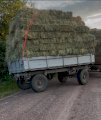 Сіно різнотрав?я 2025 року