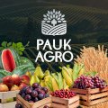 Фермерське господарство продасть яблука, сливи, груші. 