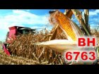 Насіння кукурудзи ВН 6763 (ВНІС) 
