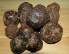 Куплю Прополис