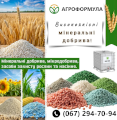 Торгова марка Агроформула пропонує вам насіння соняшнику та 