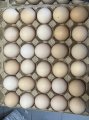Продам яйця курячі, кремові. Від виробника