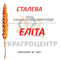 Насіння озимої пшениці СТАЛЕВА Еліта 2025р