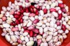 Фасоль сортовая : марокканский, болгарский, индийский и др
