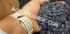 Семена подcолнечника FORK канадский трансгенный гибрид