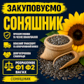 Закуповуємо Соняшник!