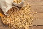 Продам сою ГМО Ф/О по домовленості