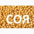 Купимо Сою ГМО та без ГМО 1Ф по всій Україні