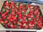 Клубника грунтовая 1, 2 сорт, Без предоплат. Крупный опт с поля