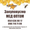 Закупівля меду сортового та соняшникового АМЕДА ГРУП