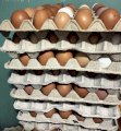 Яйця курячі Домашні